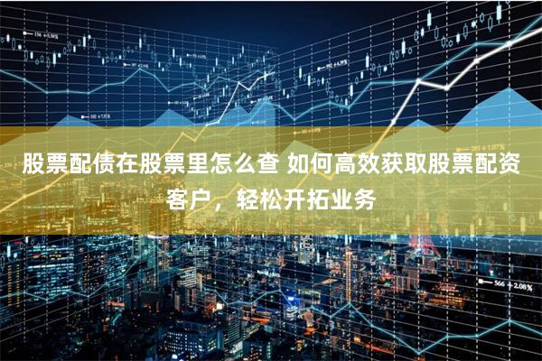 股票配债在股票里怎么查 如何高效获取股票配资客户，轻松开拓业务
