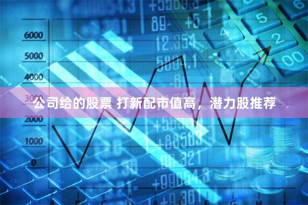 公司给的股票 打新配市值高，潜力股推荐
